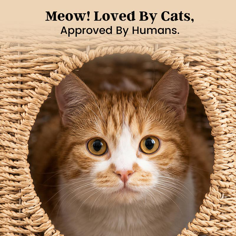 Veyro 2-in-1 Rattan Cat Cave & Side Table